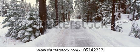 Winter Road Near Lake Tahoe, California