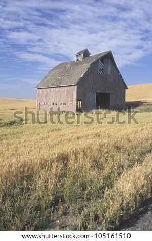 An old barn in a wheat field with a blue sky in Southeast WA