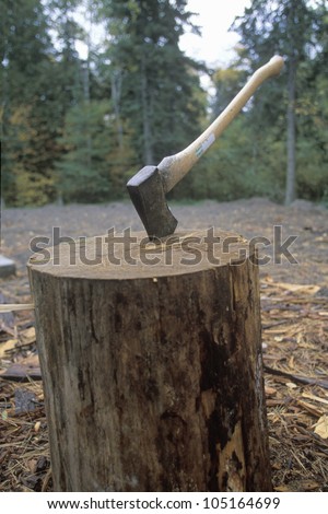 An axe being thrust into a large log in Copper Harbor, Michigan
