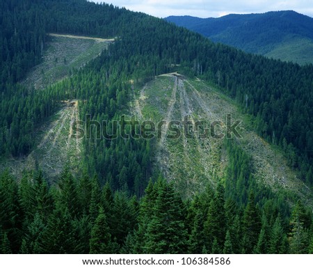 Patches of clear-cut mountain