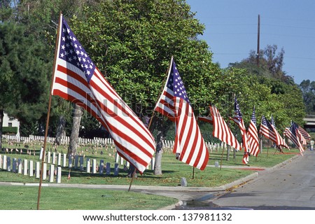 US flags lining a street with cemetery in the background