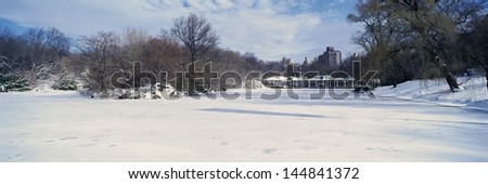 Frozen pond in Central Park, Manhattan, New York City, NY