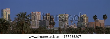 This is the skyline at dusk with palm trees surrounding the city.