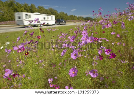 Pink and purple flowers blooming along interstate highway as trailer drives by