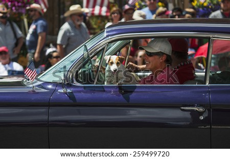 Jack Russell dog hangs in window July 4, Independence Day Parade, Telluride, Colorado, USA, 04.07.2014