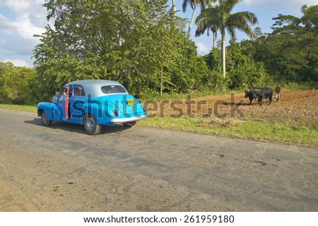 Old turquoise car opens door in front of an Oxen and man plowing field in the Valle de Vinales, in central Cuba