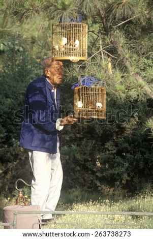 Old man with song birds in Beijing in Hebei Province, People\'s Republic of China