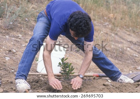 A man bending down and planting a small tree on Earth Day