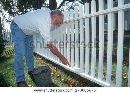 Retired man painting white picket fence, Little Compton, Rhode Island