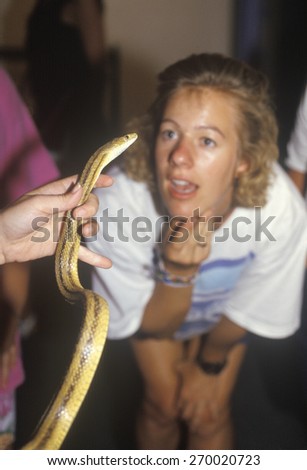 A woman looking at an Albino Python snake