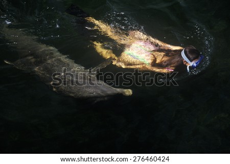 Dolphin and female swimmer, Marine mammal Research and Education Center, Key Largo, FL