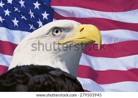 Photo montage: American flag and bald eagle