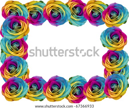 Decorative multicolored rainbow roses frame isolated in white