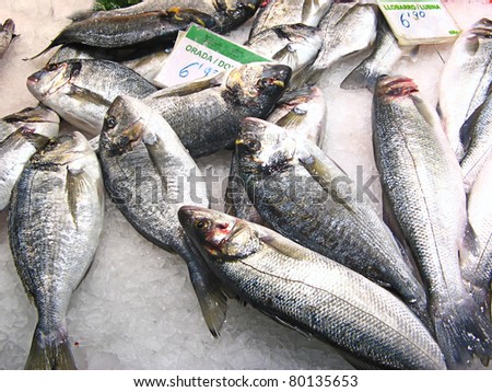 Variety of fresh fish in the market