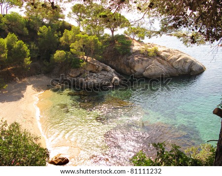 A beautiful corner in Costa Brava(Spain), transparent water between trees and pines. Costa Brava boasts with amazing golden beaches, rocky gorges, unspoiled nooks, sheltered coves.