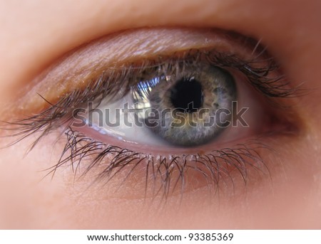 Blue iris eye in a macro picture. Closeup