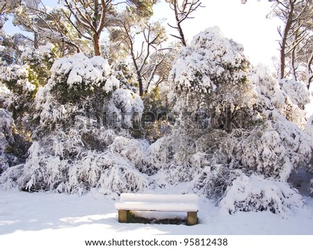 Snow covered forest with bench, also covered with snow