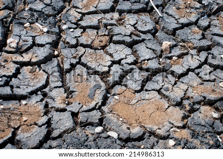 photo of cracked ground, earth, texture