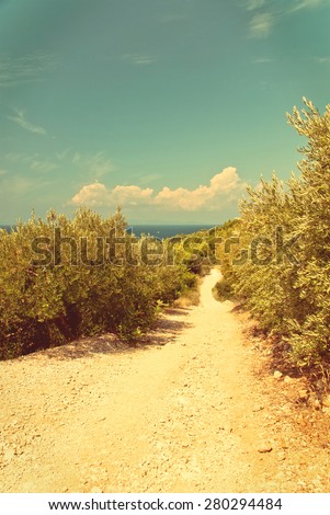 Photo of green olives on the olive tree against blue sea - vintage version