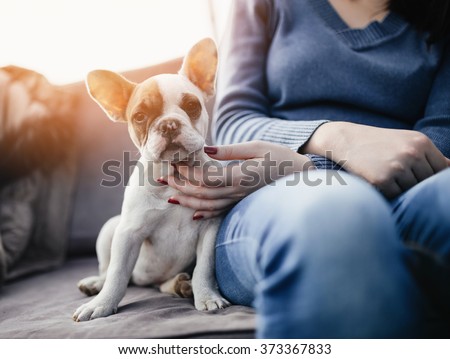 Young casually dressed woman sitting in cafe with her adorable French bulldog puppy. Close up shot with wide angle lens.