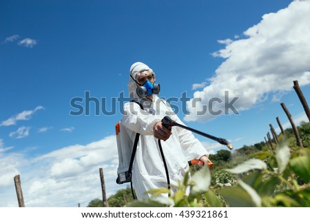 Young man spraying toxic pesticides or insecticides on fruit growing plantation. Natural light on hard sunny day. Blue sky with clouds in background.