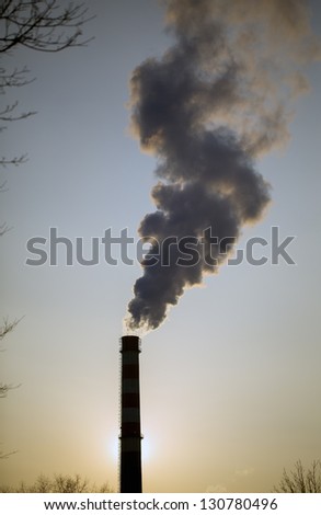 Smoke from factory pipes against the tree and the sky