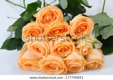 peach-colored bouquet of roses on a white background
