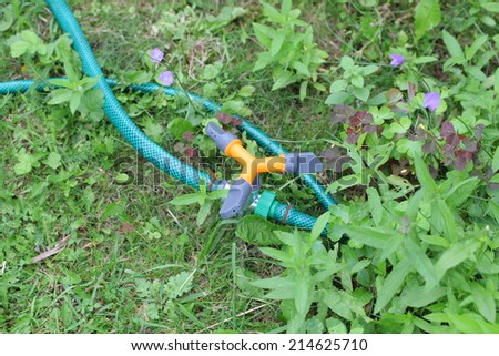 garden sprayer with a hose lying on the grass