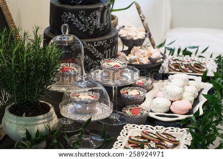 Sweets on a wedding table decoration multicolored marshmallows. Pot of rosemary bush. Chocolate cake with the words love.