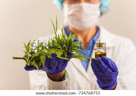 Female medicine doctor hand hold and offer to patient medical marijuana and oil. Cannabis recipe for personal use, legal light drugs prescribe, alternative remedy or medication, folk medicine concept