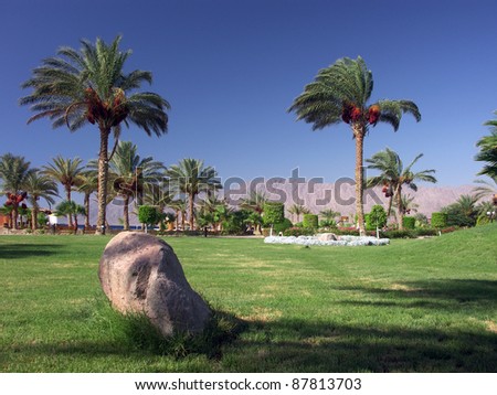 paradis garden with palms and one stone in Africa, Egypt