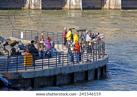 CONOWINGO, MARYLAND, USA - JANUARY 1: Wildlife photographers waiting for bald eagles at the Conowingo Dam on January 1,2015 in Conowingo, MD.The primary attraction at the dam is the bald eagles.
