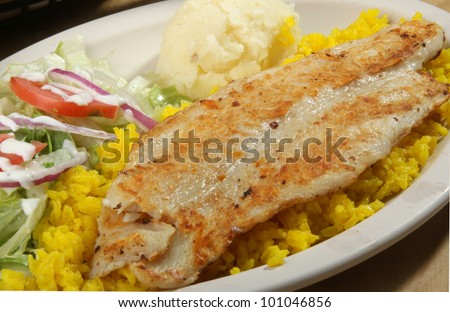 fish / fish fillet serve on a plate with a side salad and a side of rice