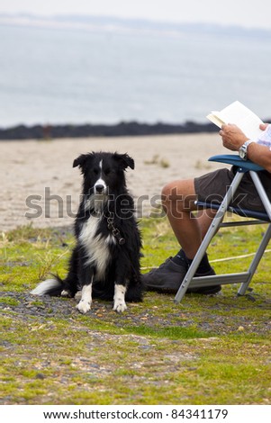 old man reading a book with his dog