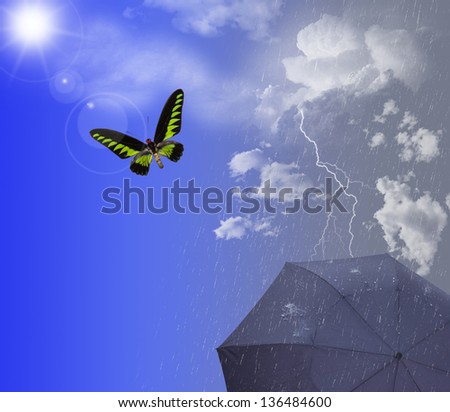 good and bad weather in the same sky gray and cloudy sky with rain and lightning and it rains on an umbrella and blue sky with sunshine and a flying exotic colorful butterfly