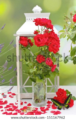 a red rose bouquet in a lantern with red rose petals and exotic butterflies decorations