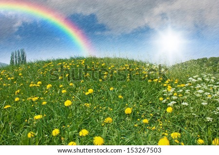 a green meadow with dandelion and april weather with sun, rain and a rainbow in the sky
