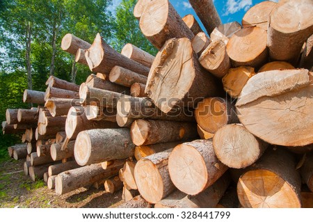 Close up of logs stacked at lumber mill in Ontario, Canada