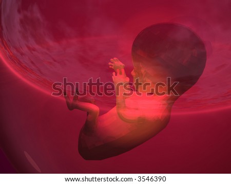 fetus at 6 weeks. quot;Fetus cyst on shouder - growth of 6 weeks puppy fetus :: five week fetus