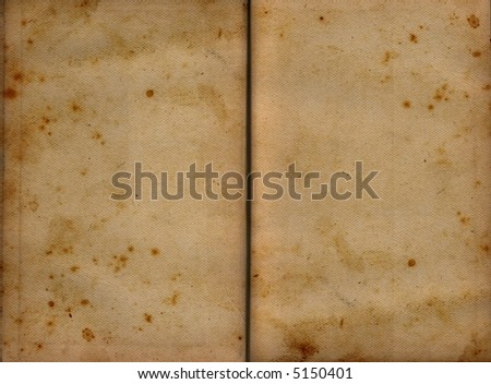 Blank vintage pages of aged open book in sepia tone
