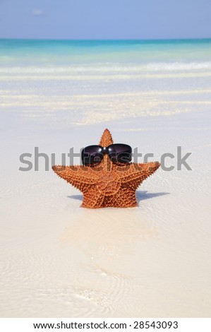 Funny starfish with sunglasses on tropical beach background