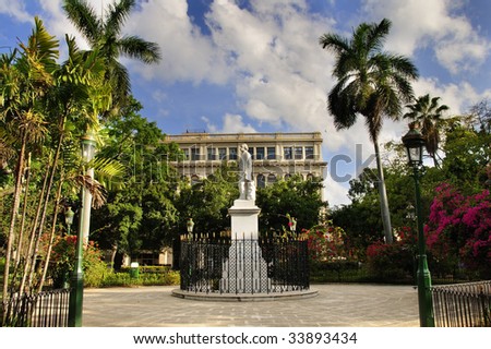 Havana Plants