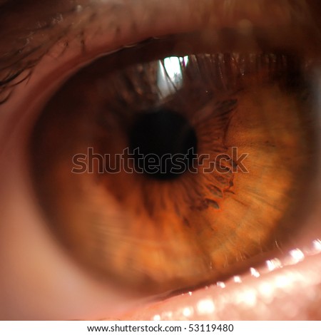 Macro shot of human hazel eyes detail
