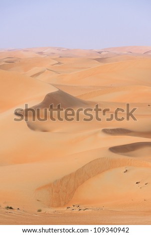 Long lines of curving dunes stretching to the horizon in the United Arab Emirates