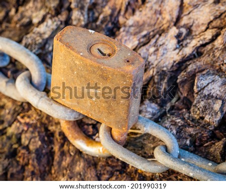 Old, rusted and damaged padlock lock with paint drips on it securing grey chain around rough tree trunk