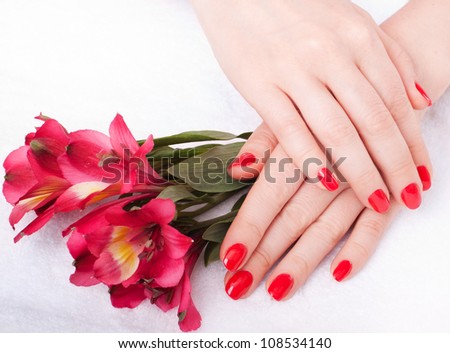 close-up of female hands with red nail polish on the background  flowers