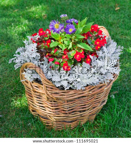 beautiful basket of flowers in the garden landscape