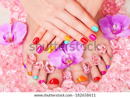 Manicure and pedicure. Nail polish and Accessories. Colorful Studio Shot of Stylish Woman. Vivid Colors. Rainbow Colors
