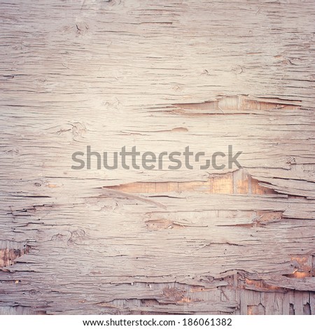 Old wood texture. Empty wooden surface mount design for closeup.