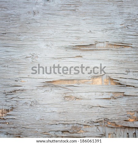 Old wood texture. Empty wooden surface mount design for closeup.